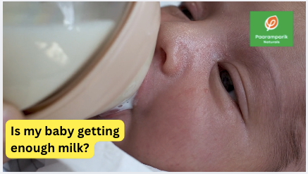 Best Foods for Breast Milk improvement